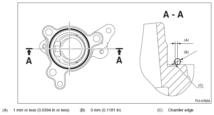 G11574581