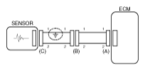 G11783986
