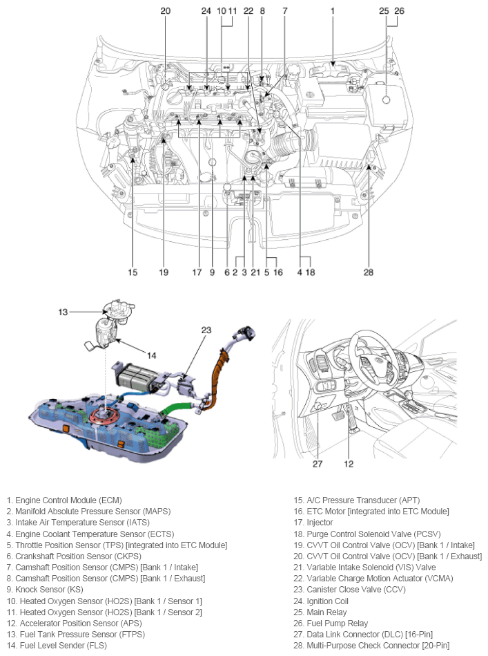 G11793795
