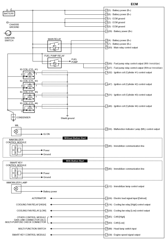 G12239077