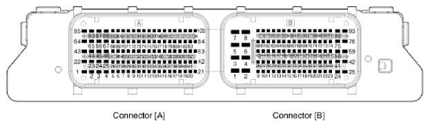 G12830496