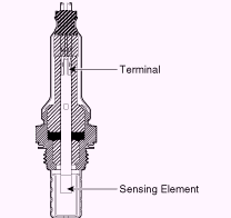 G13044257