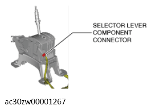 G13558914