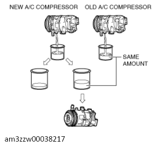 G13716265