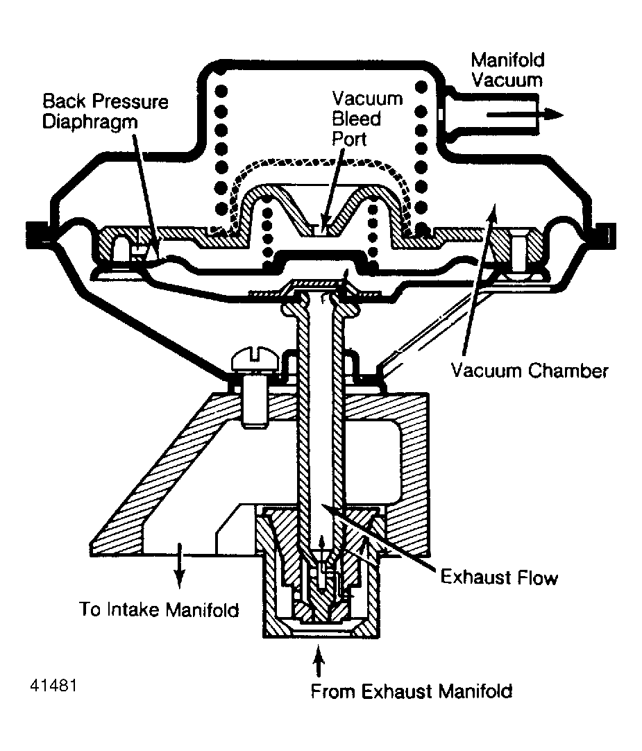 G41481