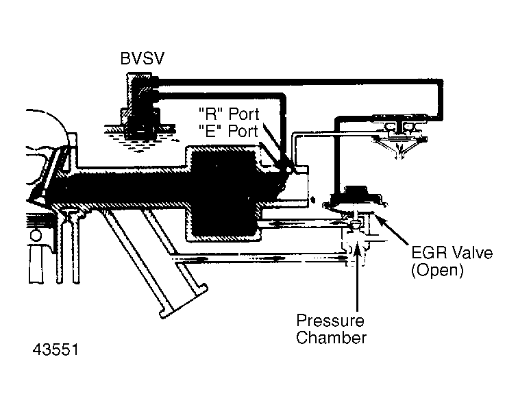 G43551