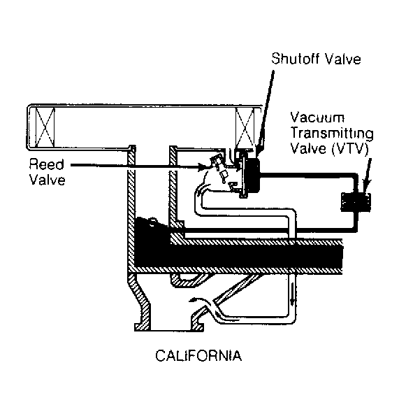 G67561