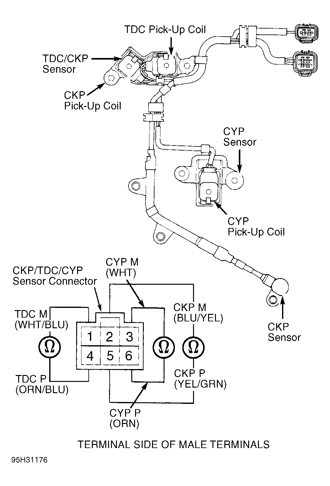 G95H31176