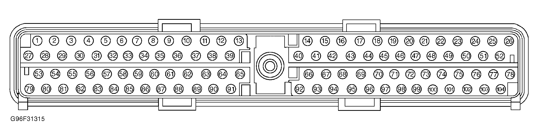 G96F31315