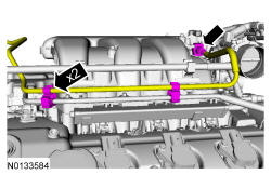 GFD337825