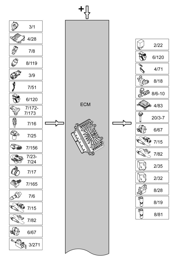 GLL163956