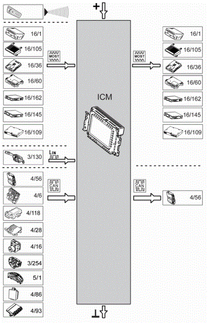 GLL177585